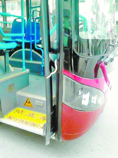 东西湖公交现1米长蛇 司机冷静疏散乘客_武汉