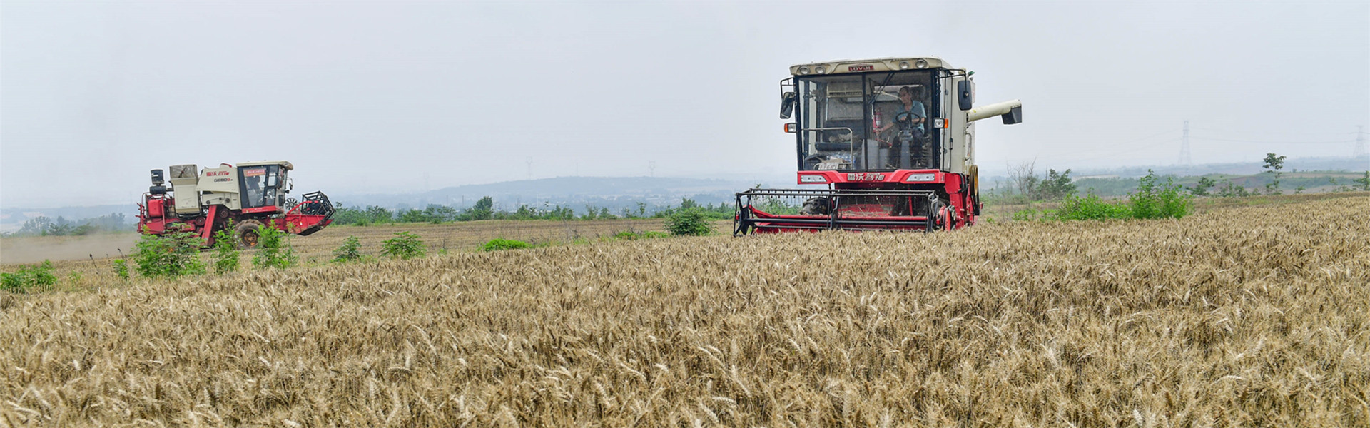 【在希望的田野上】全国麦收进度过一成