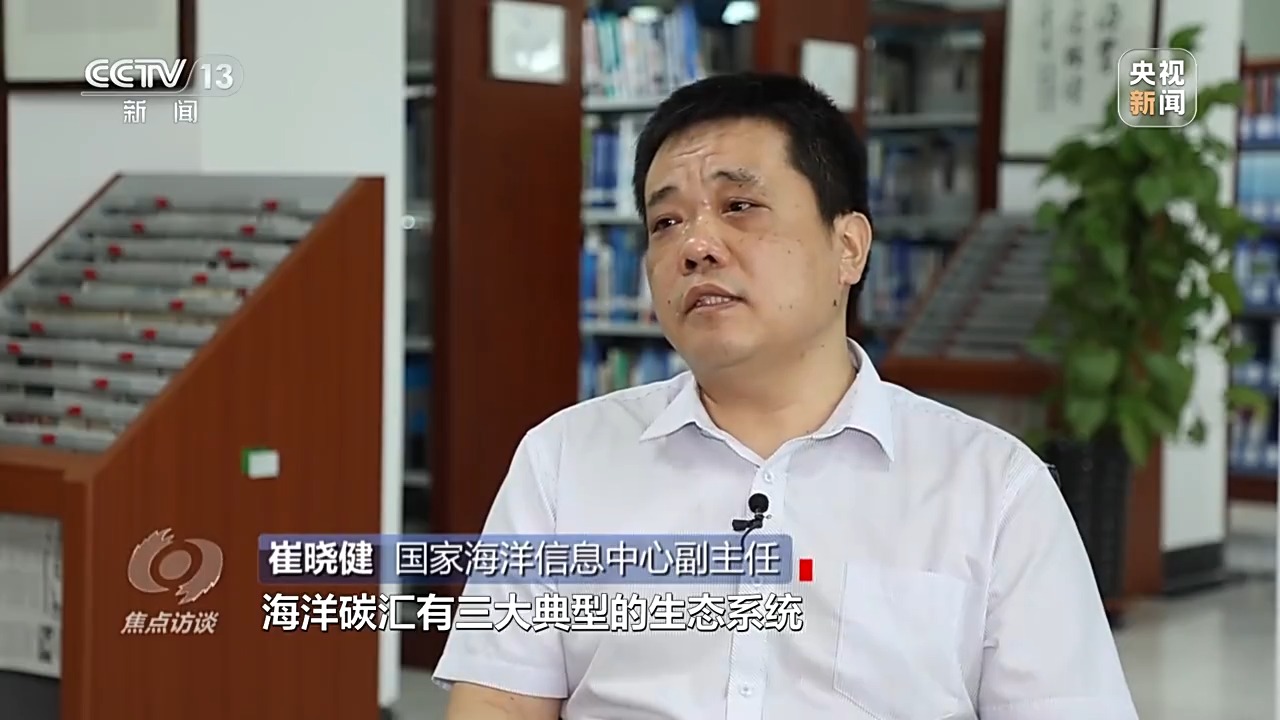 半岛·体育中国官方网《中国的海洋生态环境保护》发布提及哪些关键词？(图16)