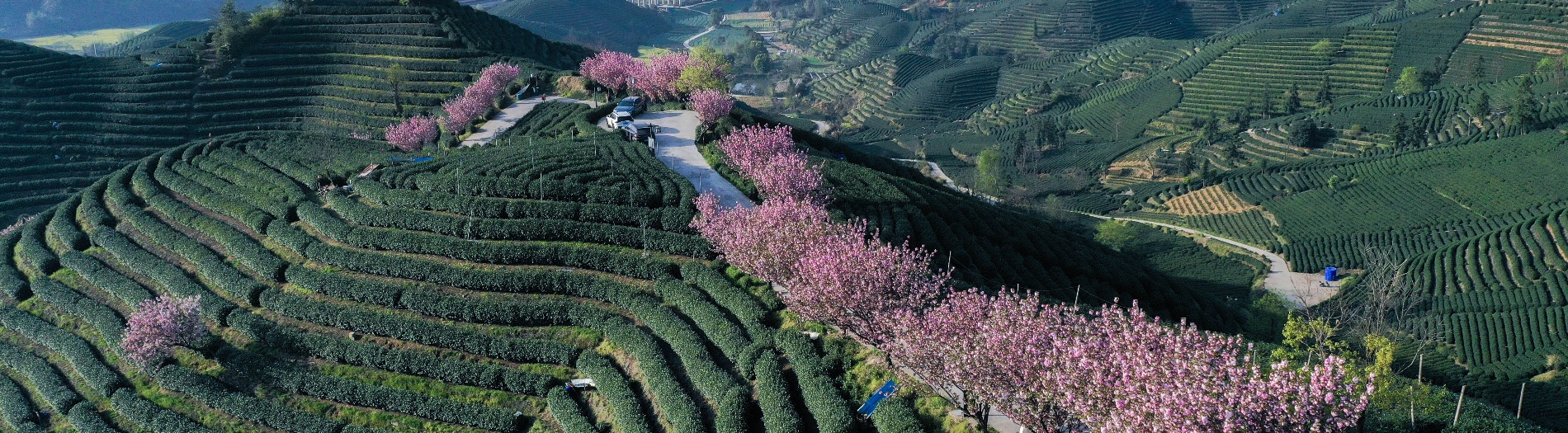 桃源深处 山水欢歌