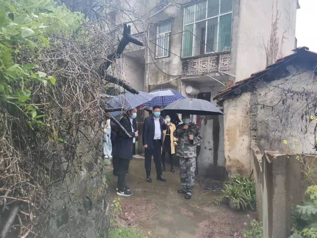 点击查看高清原图 点击查看高清原图