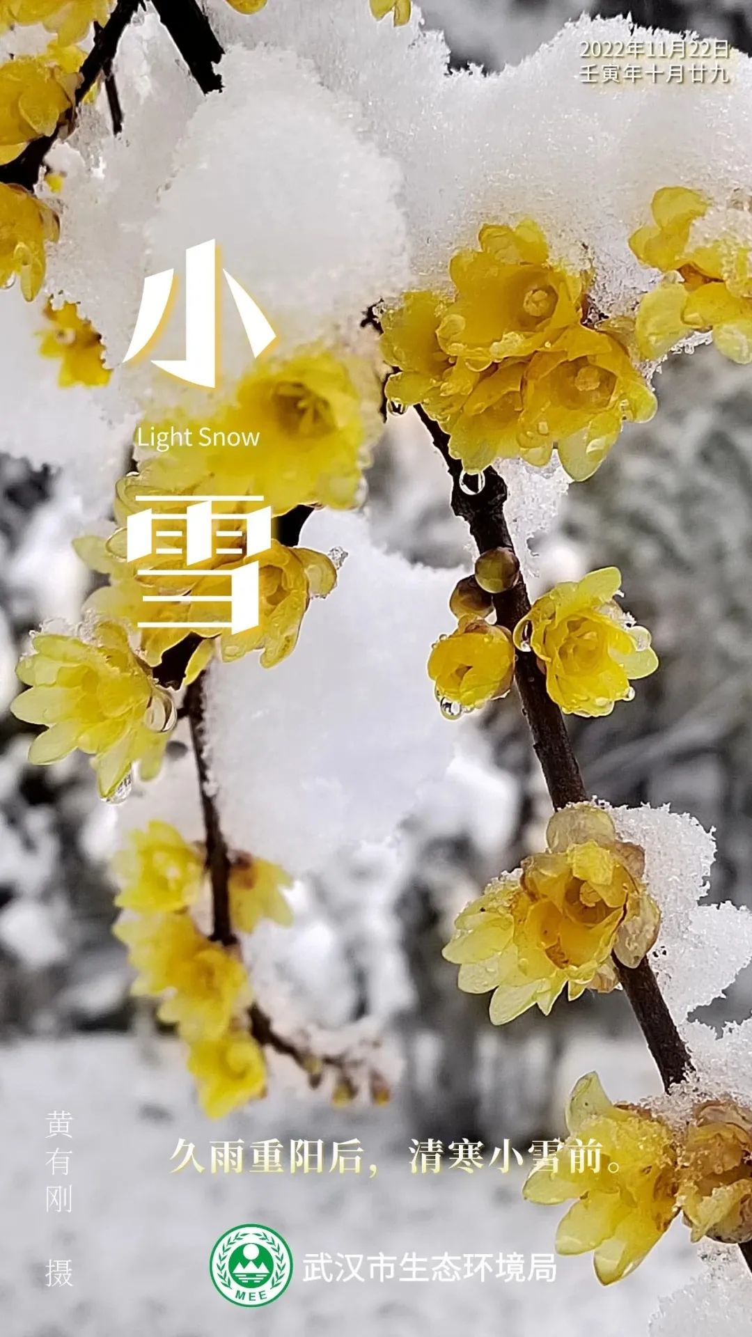 今日小雪