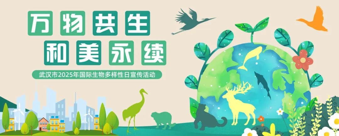 武汉举办国际生物多样性日宣传活动 政企民携手共绘“万物共生”新蓝图