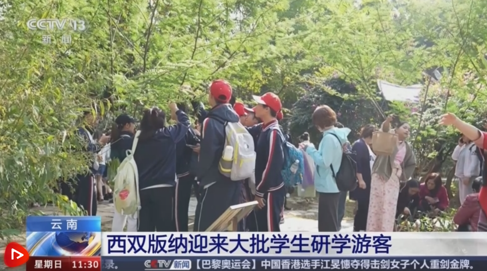 詹?。核{(lán)月軍團(tuán)以怎樣的表現(xiàn)告別2024？利物浦能否擴(kuò)大領(lǐng)先優(yōu)勢(shì)？