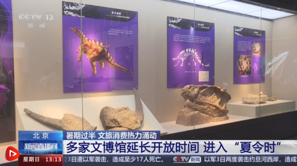 中山美穗死因公布：意外事故