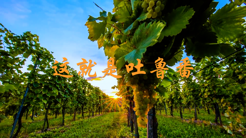 Scotto：數(shù)支季后賽級(jí)別的球隊(duì)對(duì)芬尼-史密斯表現(xiàn)出了興趣