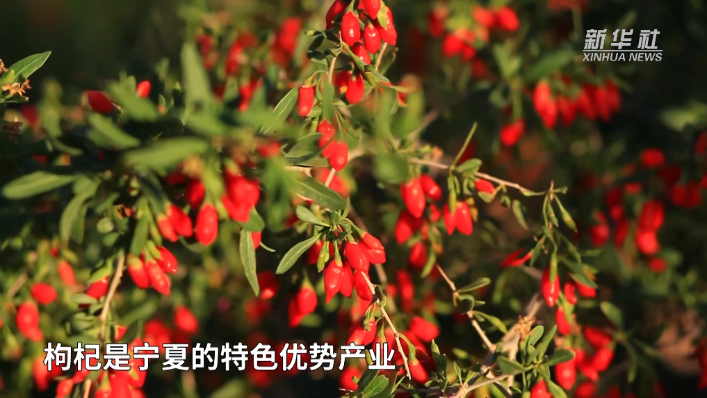 火力全開，西蒙尼治下馬競首次連續(xù)5場打入至少3球