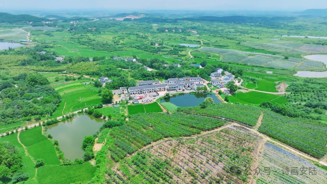 奏响乡村振兴的春日和弦——“全国文明村”湖北省安陆市赵棚镇团山村农文旅融合发展见闻
