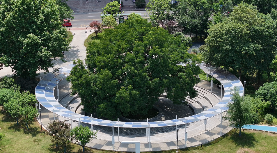 文明咸宁 幸福满城——写在咸宁成功创建全国文明城市之际