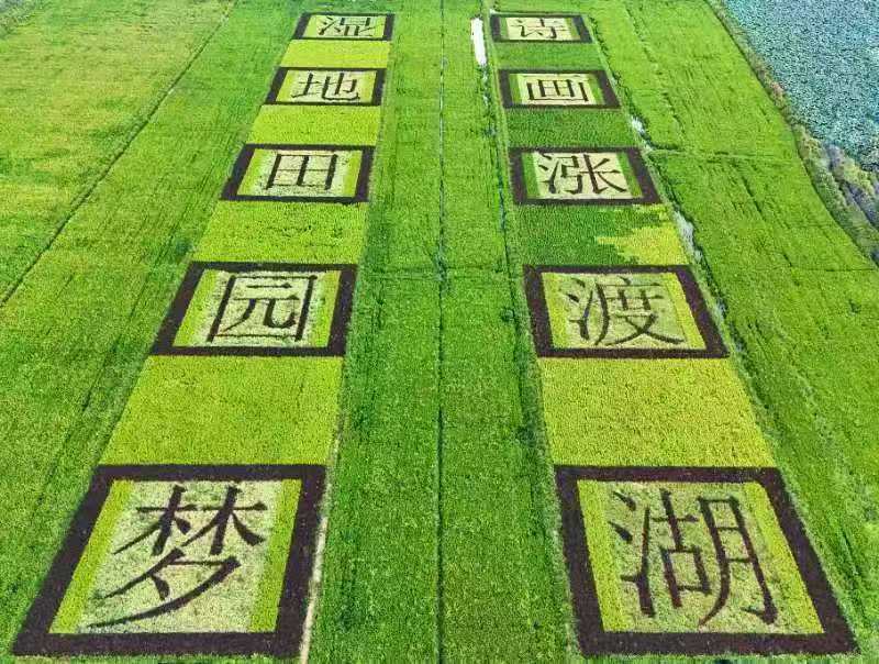 甜瓜滿臉問(wèn)號(hào)，網(wǎng)友稱英格拉姆是當(dāng)代安東尼，后者笑哭表情回應(yīng)