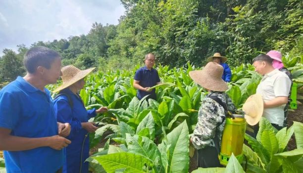 格列茲曼歐冠已進(jìn)47球，法國(guó)球員中僅次于本澤馬亨利姆巴佩
