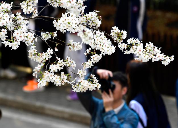 “轻医美”，护航“美丽”路在哪？