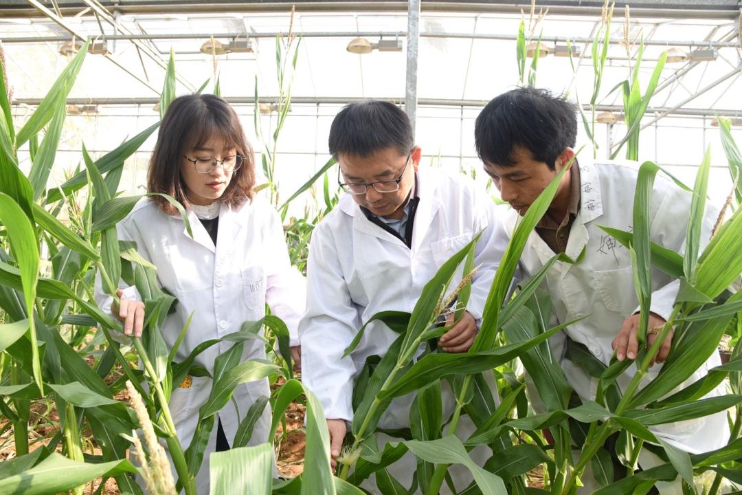 以青春之我，赴时代之约
