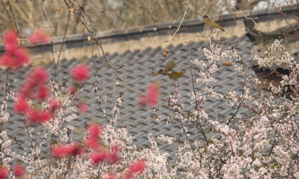 杜绝“面子工程”，需警钟常敲