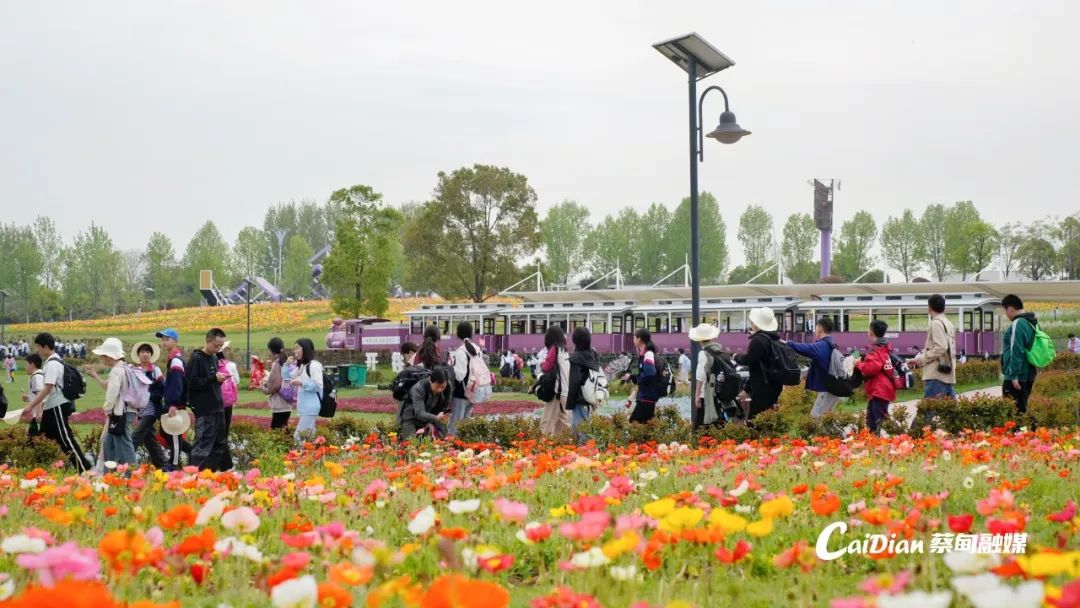 五一首日文旅人气火爆！蔡甸多元体验引客潮