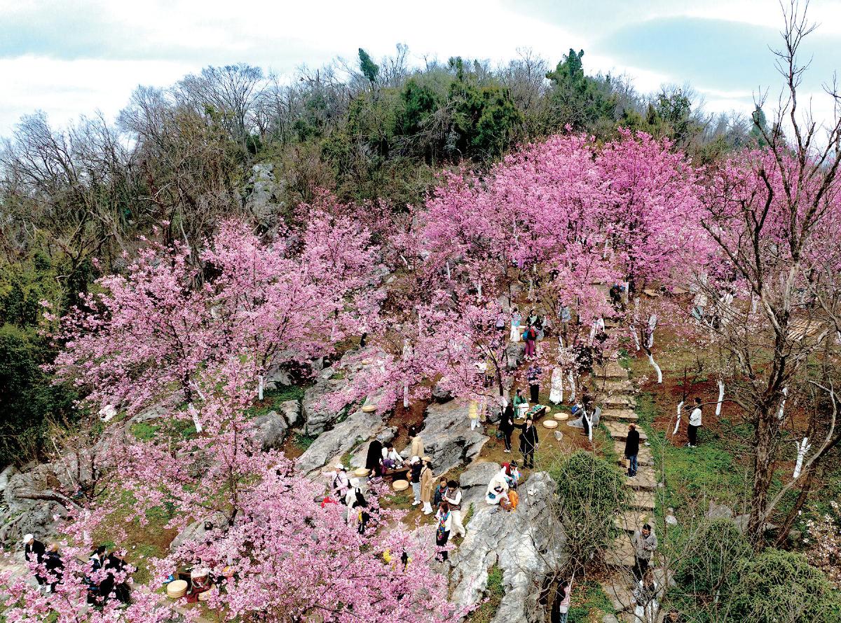 黄石发布十条“春季赏花线路”