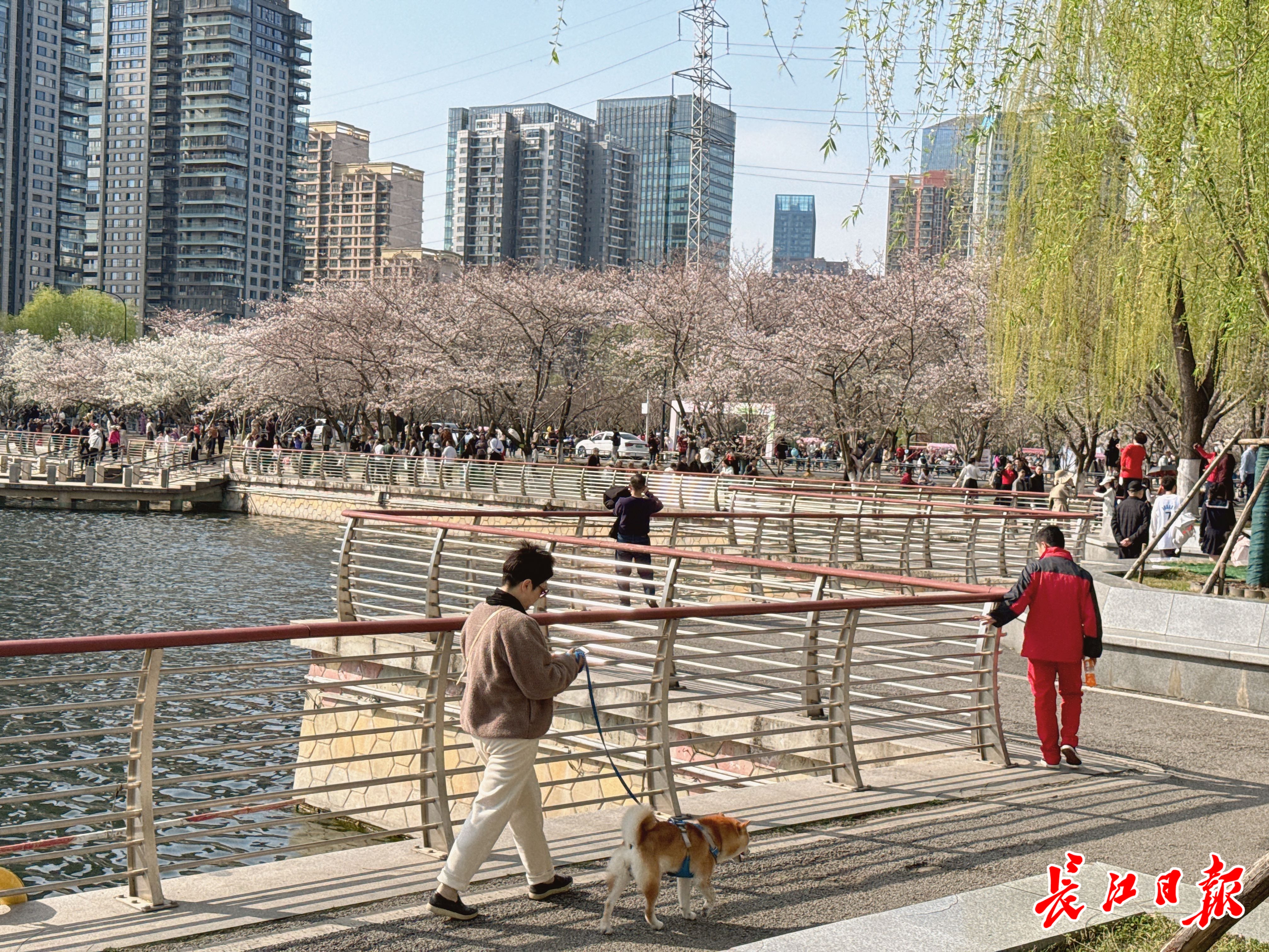 乐鱼app“武汉礼物”微市集亮相武汉体育消费周樱花文创大受欢迎(图3)