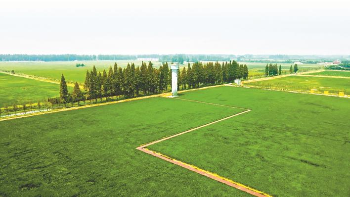 沃野田畴起欢歌——孝感孝南“千亩方”全域土地综合整治打开共富新空间