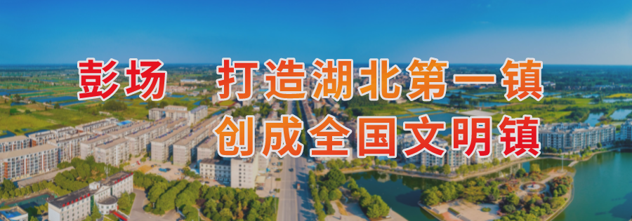 仙桃市高中录取控制分数线公布!