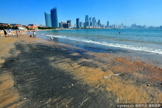 青岛海水浴场出现大片黑色物体