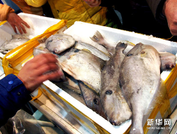 1月26日，顾客在钓鱼岛鲜鱼摊位上挑选深海鱼。