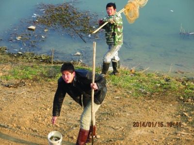 周边居民捕捞死鱼。