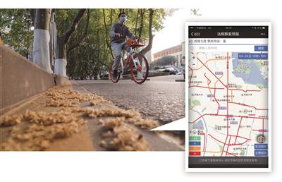 市民在手机上就可以查看54条道路的法桐飘絮情况。万程鹏 刘浏 摄