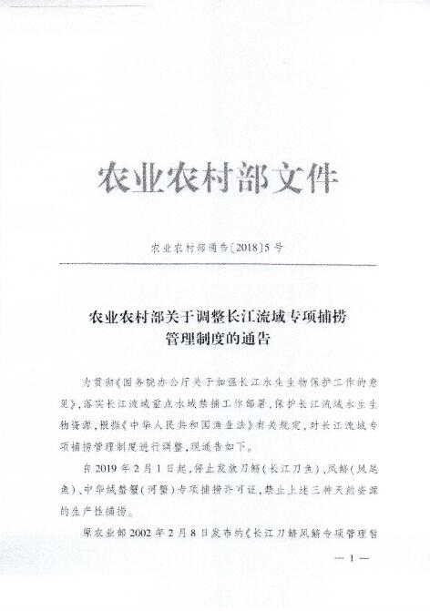 长江刀鱼正式禁捕农业部2月1日起停发三种天然资源捕捞证