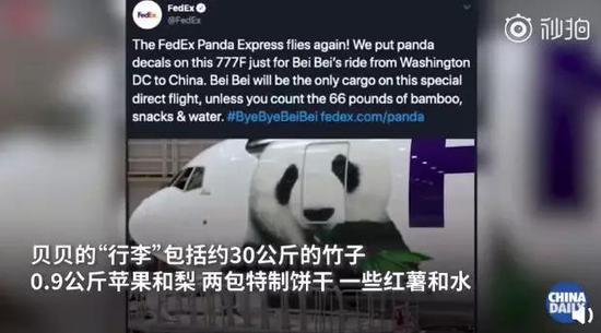 旅美大熊猫回家听不懂中文咋办？网友操碎了心