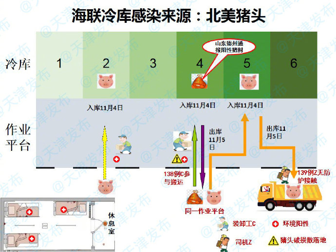 天津疾控:海联冷库感染来源为北美猪头