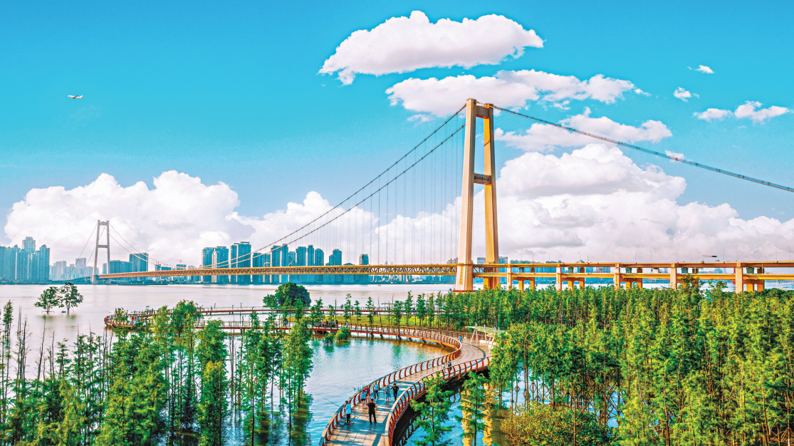 杨泗港长江大桥美在随时，世界级的桥梁风光为武汉夏日增彩