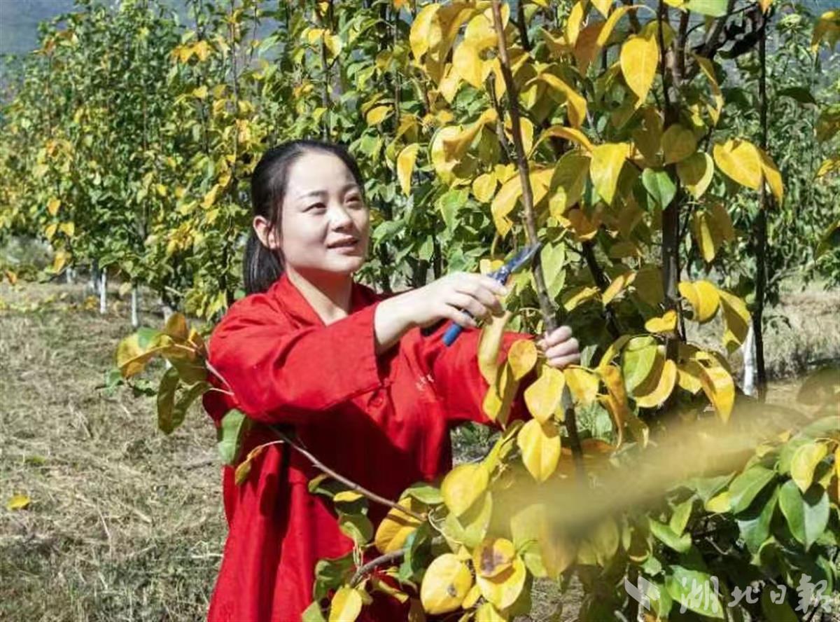 砂梨姑娘郑亚娟