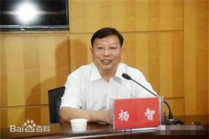 杨智当选为荆州市人民政府市长_首页湖北_新