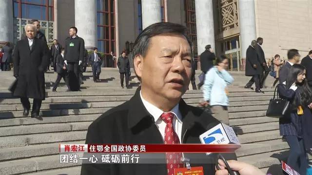 11天的全国两会结束了听听住鄂政协委员什么感受