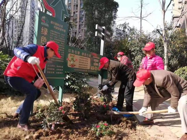 绿色驿站 家门口的义务植树尽责基地