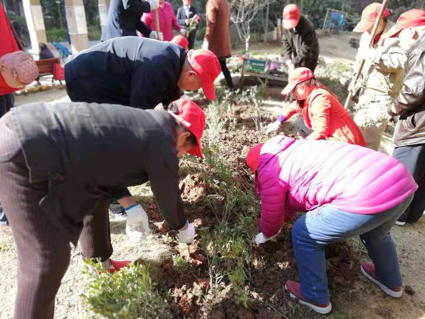 绿色驿站进社区，家门口的义务植树基地等你来