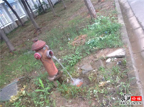路边消防栓未关严路人忙接水
