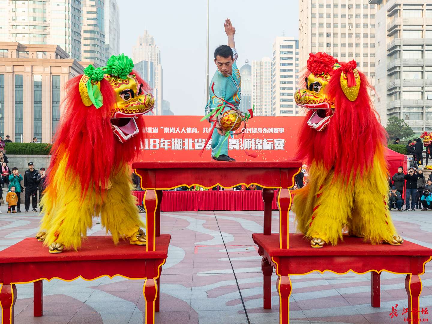 （文化中国）“北狮之宗”：独具魅力的舞狮表演 - 封面新闻