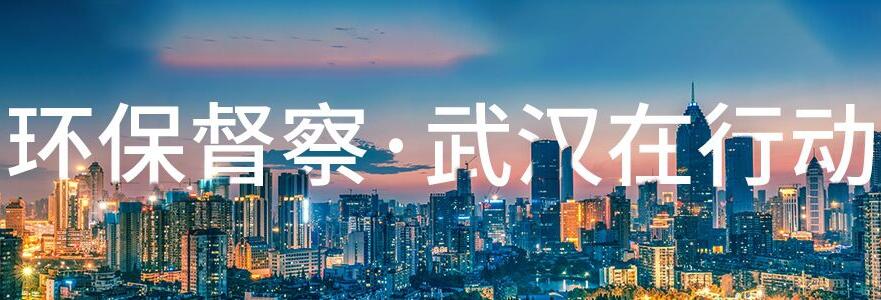 环保督察 武汉在行动