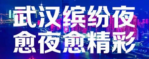 武汉缤纷夜 愈夜愈精彩