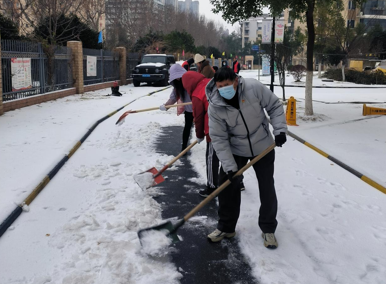 风雪中的星火 新沟桥街道抗击冰冻暴雪典型人物