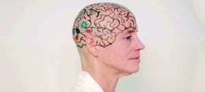 把头发剃光后，坎韦施请女助教在她的光头上画上大脑纹路，让同学更直观了解大脑结构。