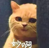 女子没按单位时间表生二胎被罚 单位:一年俩名额