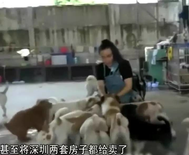 资料图