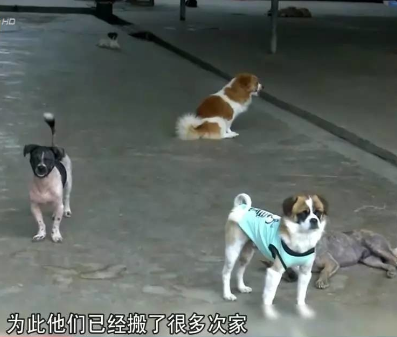 资料图