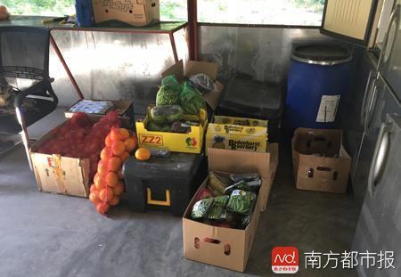 志愿者的伙食补给，米、面、油、蔬菜、肉类等都从首都哈拉雷运来。