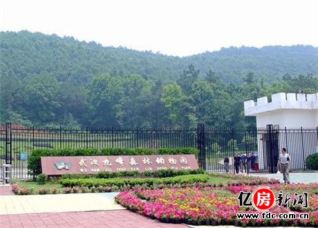 九峰森林动物园