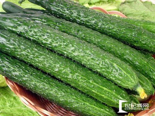 健康指南:夏天黄瓜的几种健康吃法_生活_新闻