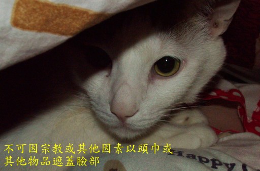 新版身份证照片示范!搞笑!