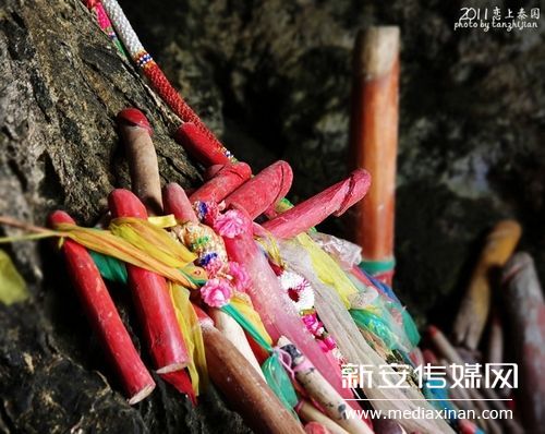 形态各异